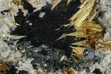 Golden Rutile Crystals on Hematite - Brazil #173011-2